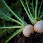 Fotolia_182400354_Subscription_Monthly_M-960x639