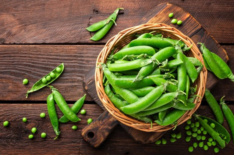 pixta_31273694_M-960x639